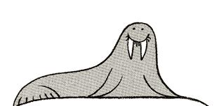 312x152 How To Draw The Walrus Drawing Tutorials Amp Drawing Amp How To Draw - Walrus Sketch