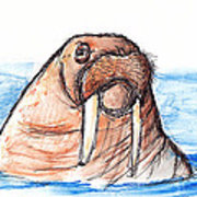 180x180 Walrus Sketch Drawing Wood Print By Shawn Smith - Walrus Sketch