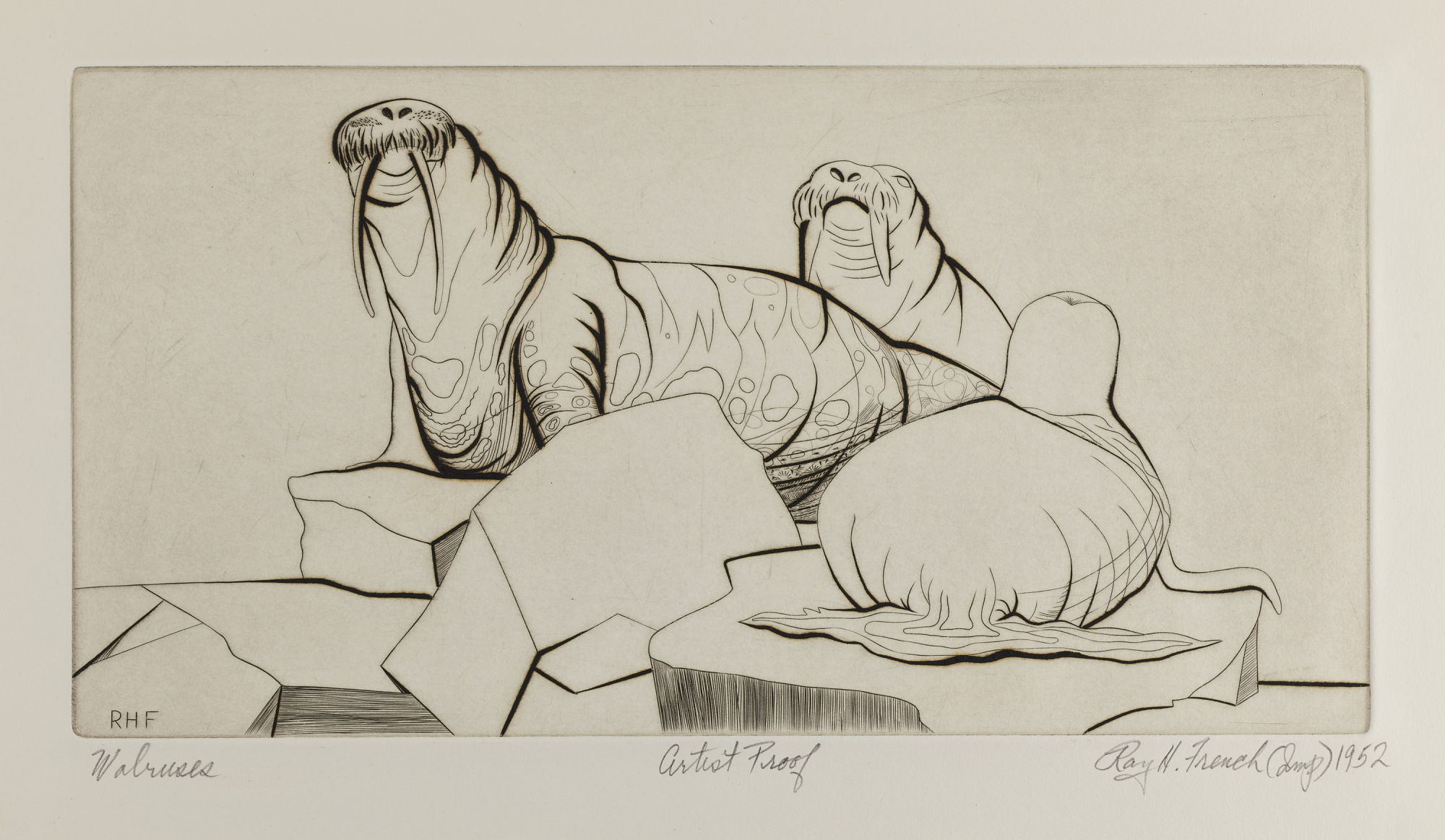 2000x1163 Walruses Smithsonian American Art Museum - Walrus Sketch