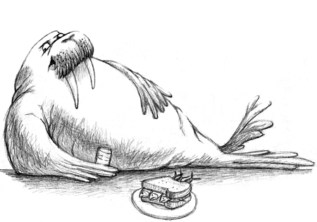 450x315 Walrus Sketched Out - Walrus Sketch