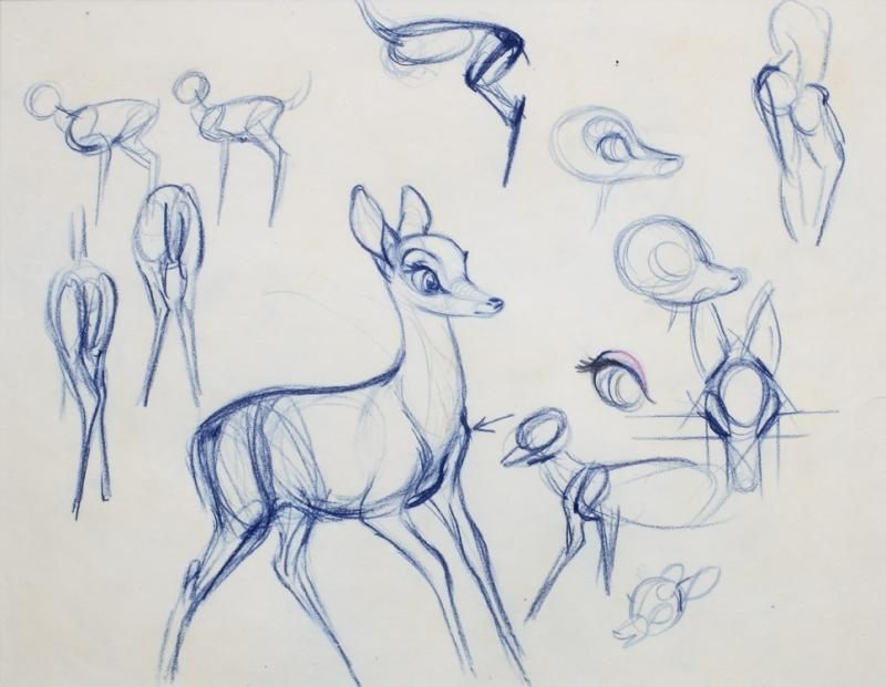800x621 Walt Disney Bambi Sketches Art Creativity Disney - Walt Disney Sketches