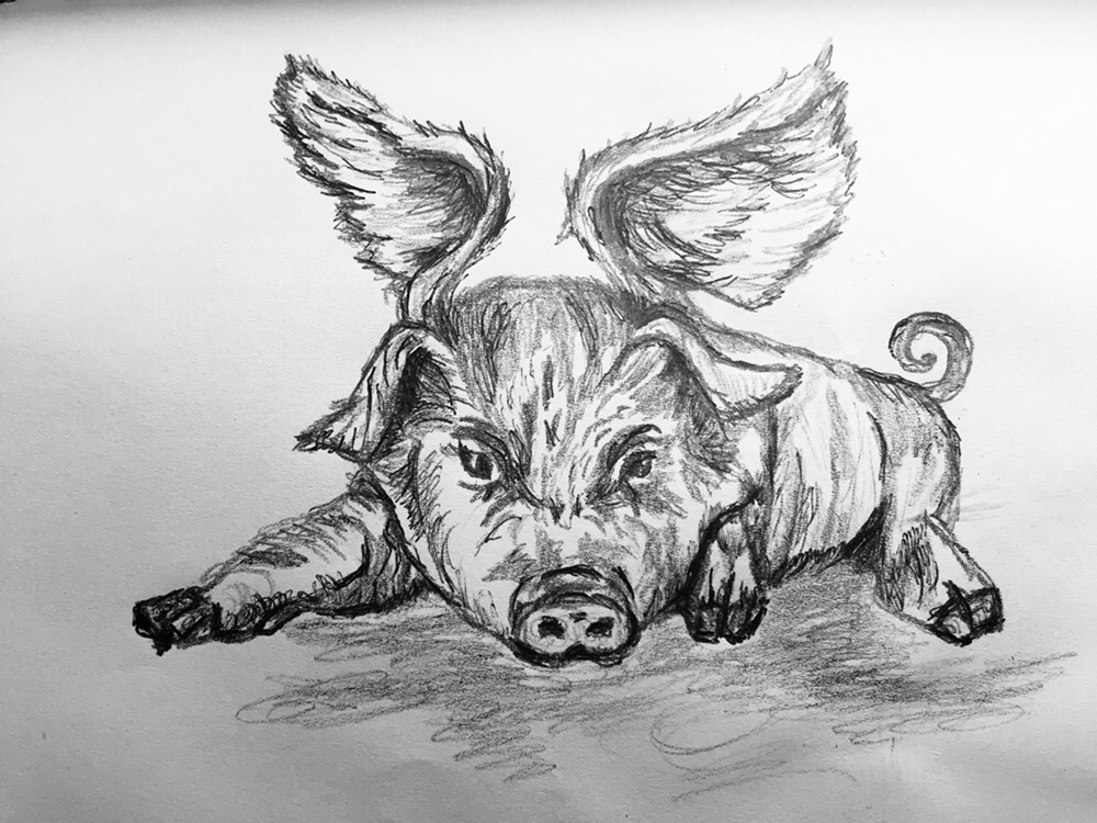 1000x750 Sketches Wanderlust Pig - Wanderlust Sketch