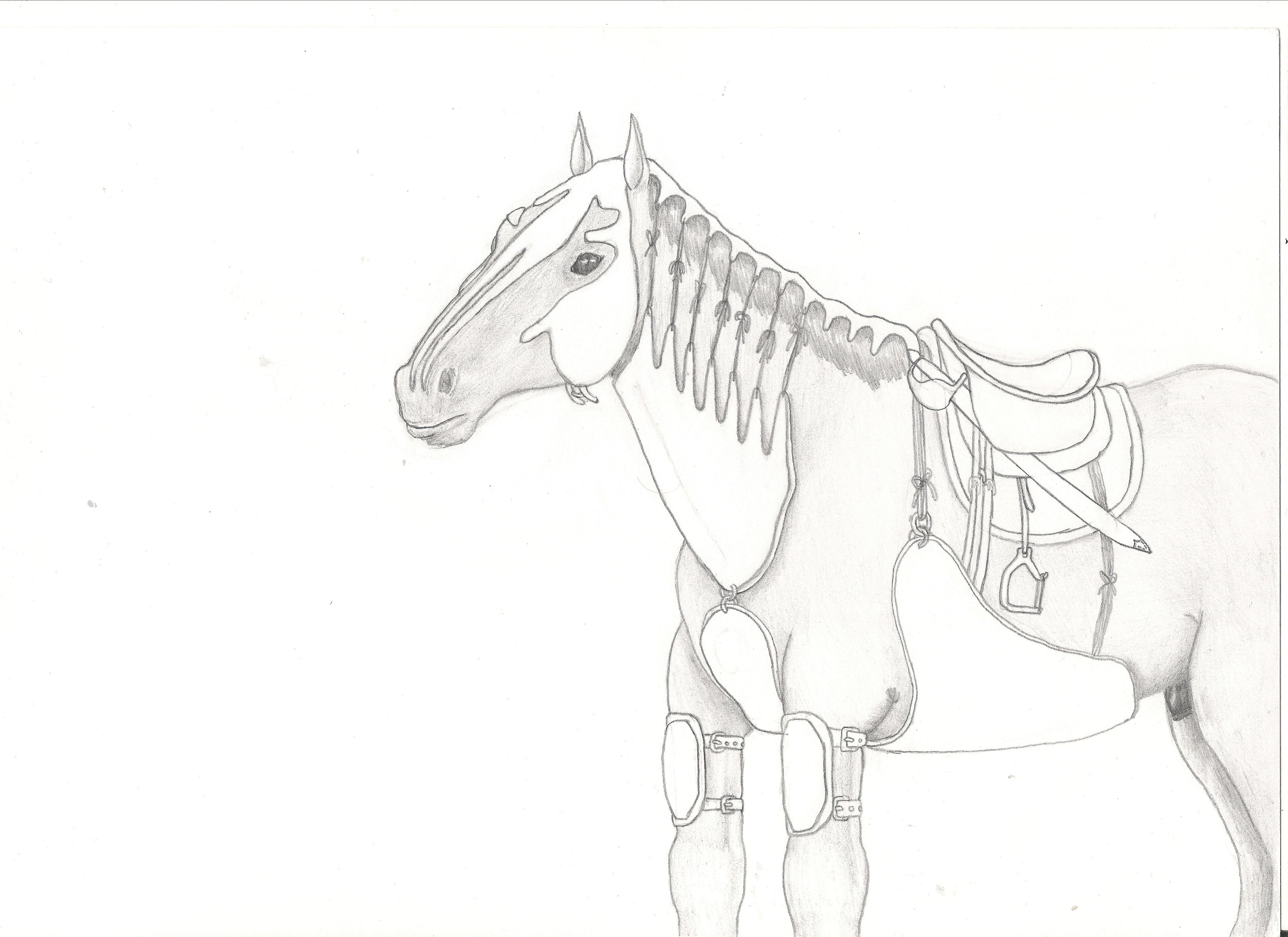 2999x2181 Old War Horse Sketch Weasyl - War Horse Sketch