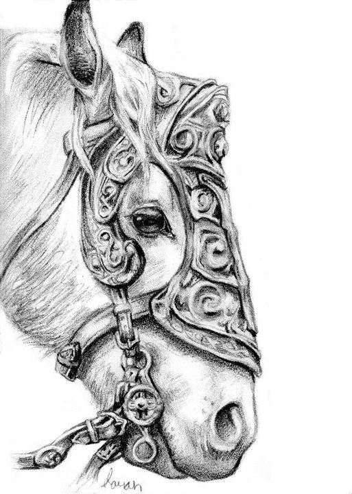 513x720 The War Horse By Define X - War Horse Sketch