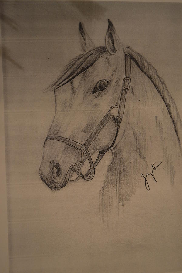 600x900 War Horse Drawing By Jyotsna Umesh - War Horse Sketch