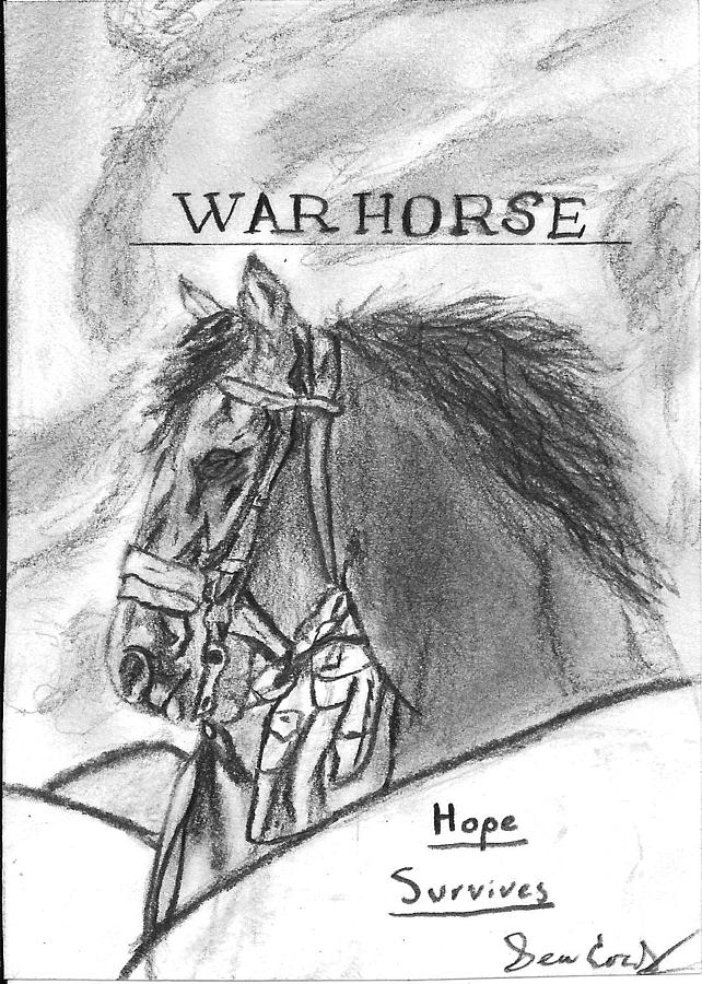 642x900 War Horse Drawing By Sean Cordy - War Horse Sketch