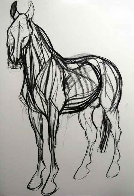 447x650 War Horse Ii Study Horses Horse, Draw And Sketches - War Horse Sketch