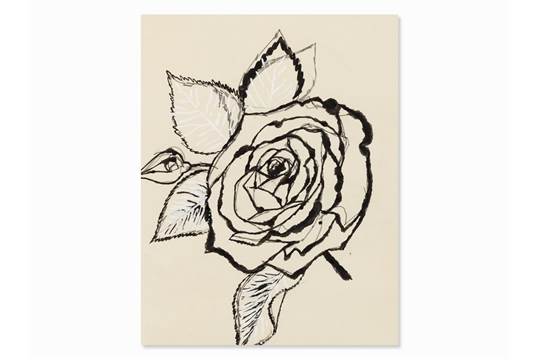 540x360 Andy Warhol, Rose, India Ink Drawing, C. 1955india Ink Over Pencil - Warhol Sketches