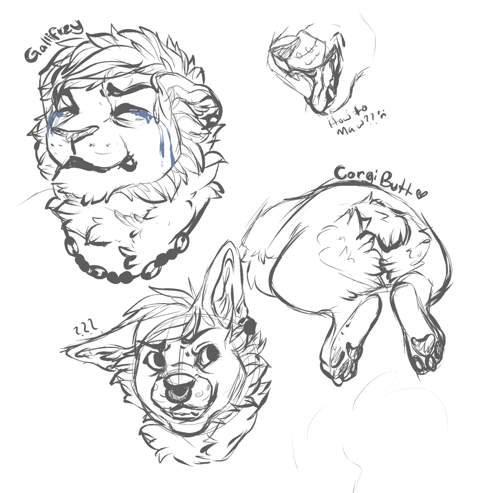950x971 Warm Up Sketches 1 By Sierrathesharkdoge - Warm Up Sketches