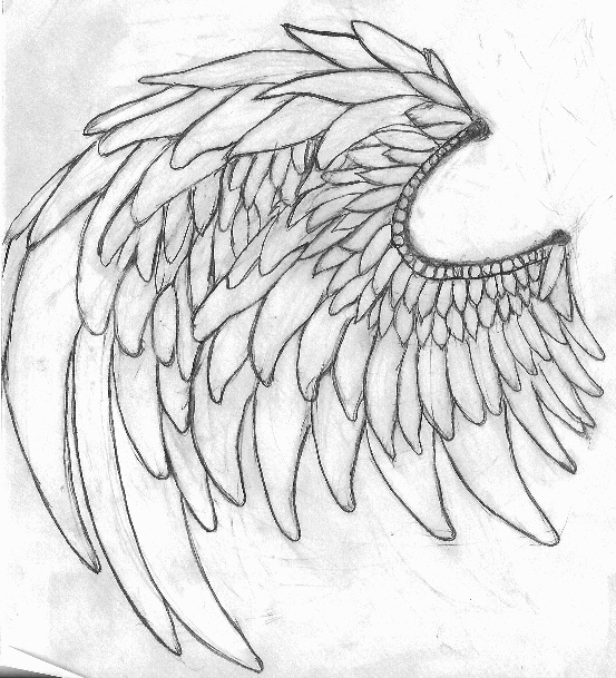 553x609 Angel Sketches - Warrior Angel Sketch