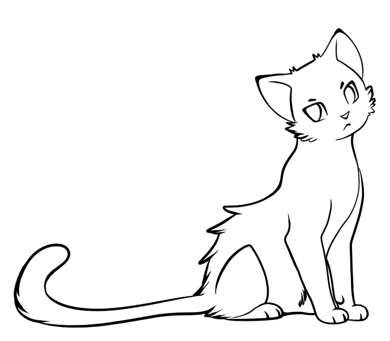 800x700 Image - Warrior Cat Sketches