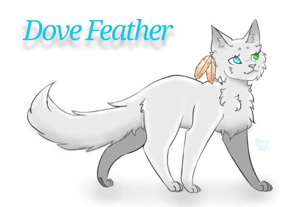 1000x697 New Drawing Warriors Amino - Warrior Cat Sketches