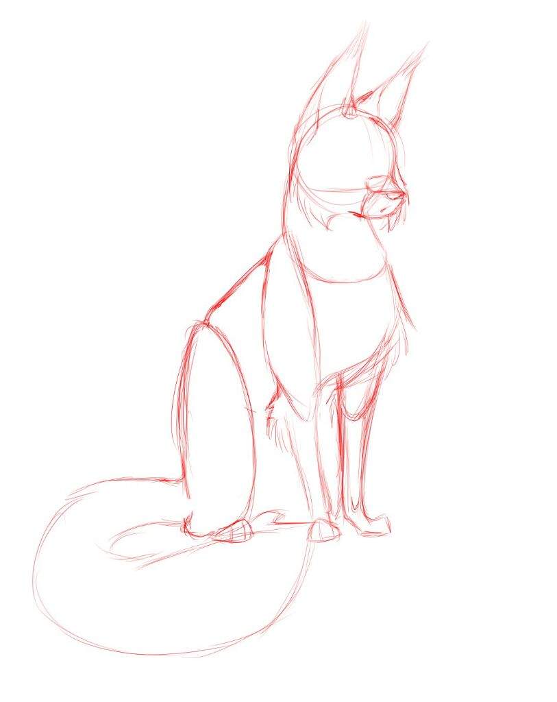 Warrior Cat Sketches at PaintingValley.com | Explore collection of ...