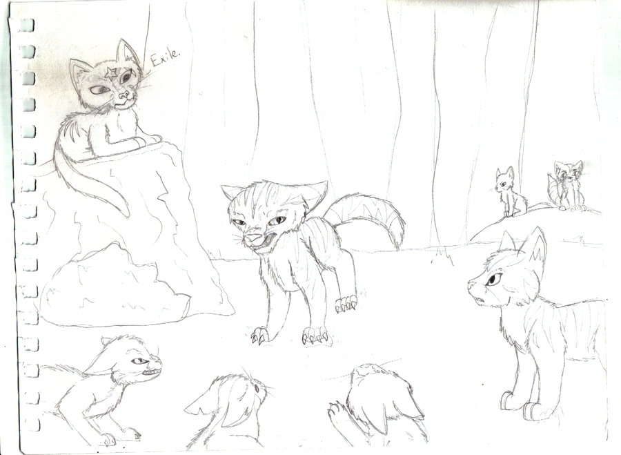 900x659 Warrior Cats Sketch... By Little Painter - Warrior Cat Sketches