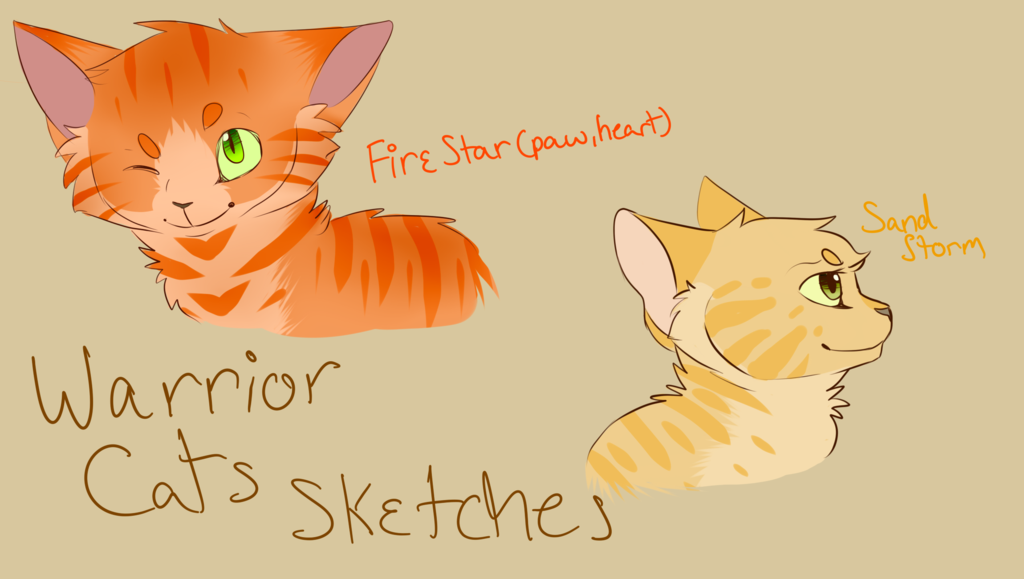 1024x579 Warrior Cats Sketches Taking Requests By Raymour - Warrior Cat Sketches