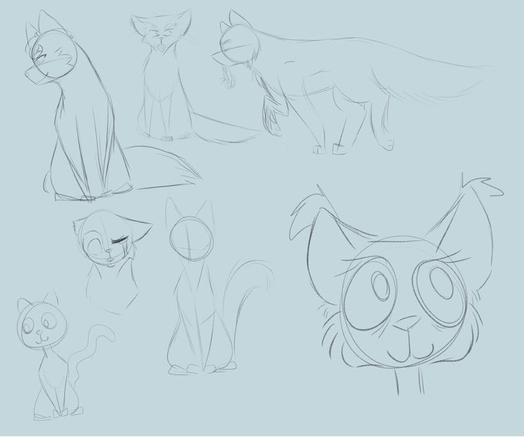 743x620 Cat Sketches Warrior Cats Amino Amino - Warrior Cat Sketches