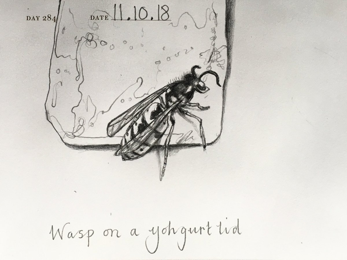1200x900 Wasp Hashtag On Twitter - Wasp Sketch
