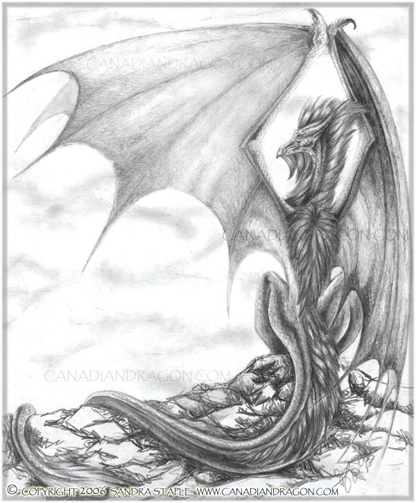 600x725 Canadian Dragon Fantasy Art Original Pencil Dragon Drawing - Watch Pencil Sketch