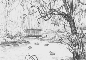 300x210 Pencil Sketch Of Save Water Save Water Pencil Sketch - Water Conservation Sketch