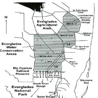 320x320 Sketch Of The Water Budget Double Box Model. Download Scientific - Water Conservation Sketch