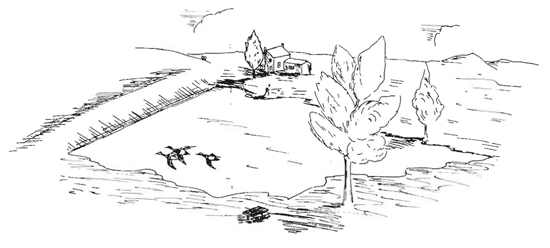 550x248 Vol 11, No 3 - Water Conservation Sketch