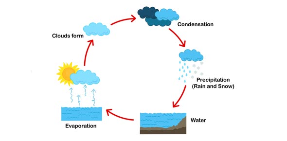590x290 The Hydrological Cycle - Water Cycle Sketch