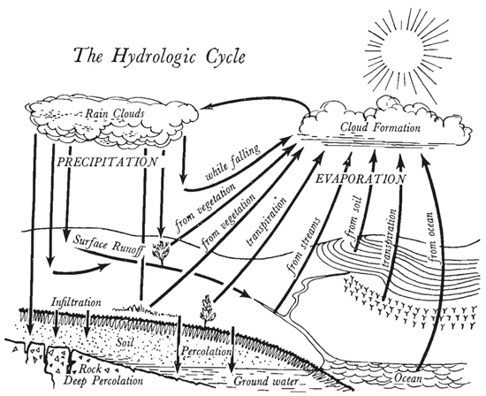 550x448 Vol 9, No 4 - Water Cycle Sketch