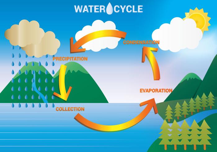 700x490 Water Cycle Diagram Vector - Water Cycle Sketch