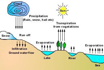 362x246 Water Cycle - Water Cycle Sketch