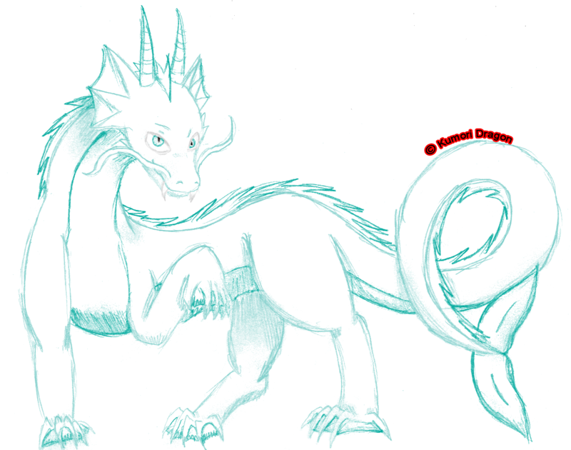 800x630 Water Dragon - Water Dragon Sketch