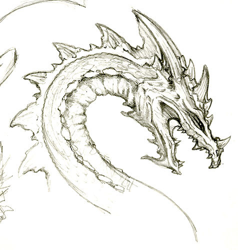 476x500 Water Dragon Sketch By Timber Dog - Water Dragon Sketch