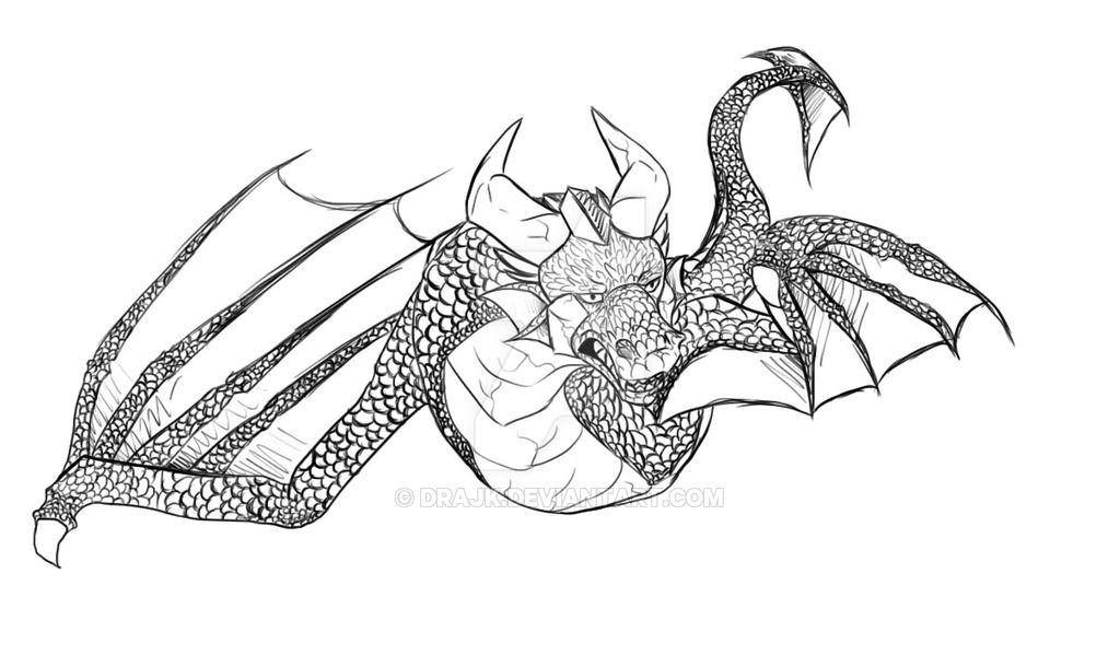 1024x610 Water Dragon Sketch By Drajk - Water Dragon Sketch