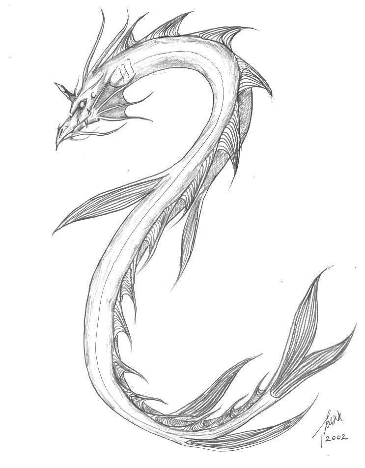 743x952 Water Dragon Hd Background - Water Dragon Sketch