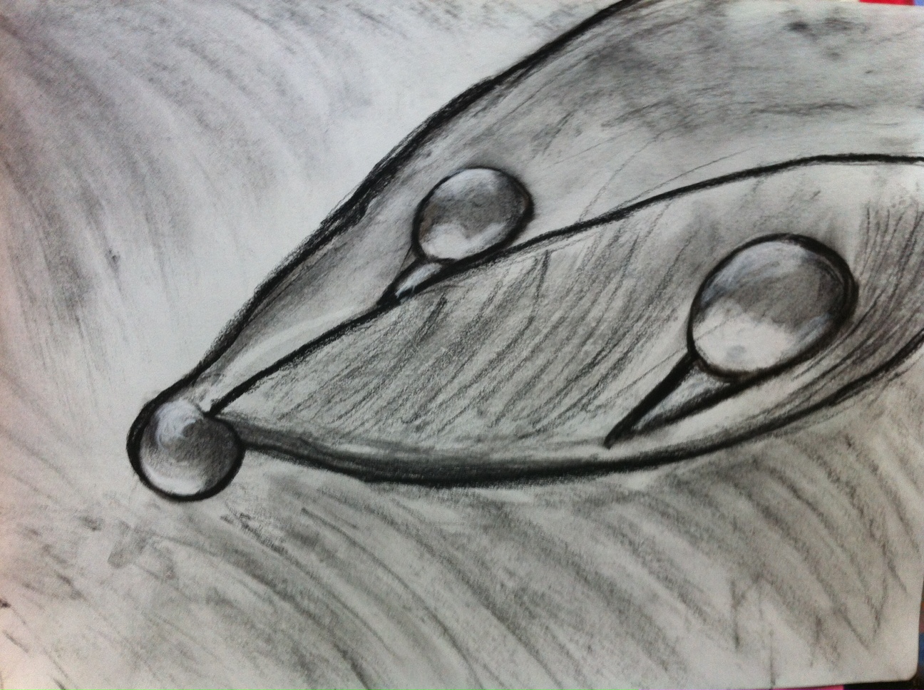 1296x968 Water Drop On A Leaf Anusen Arts - Water Drop Sketch