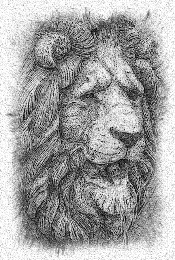 607x901 Lion Water Fountain - Water Fountain Sketch