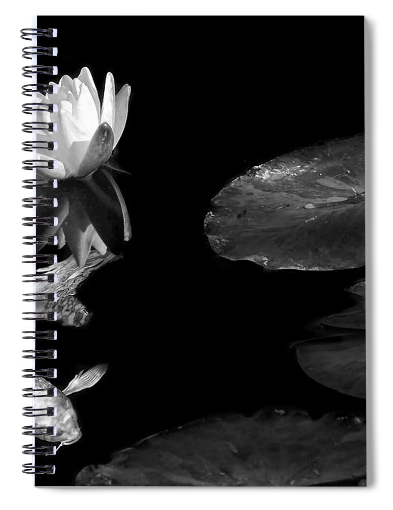 770x1000 Japanese Koi Fish And Water Lily Flower Black And White Spiral - Water Lily Flower Sketch