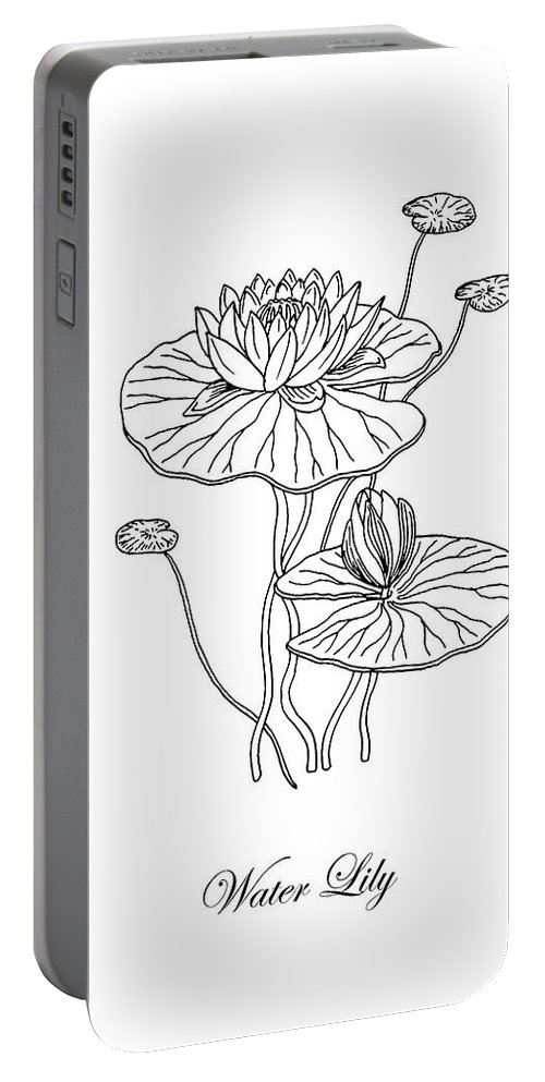 500x993 Water Lily Flower Botanical Drawing Portable Battery Charger For - Water Lily Flower Sketch