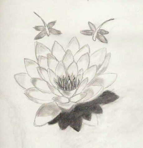 459x475 Lotus Tattoos Clipart Water Lily - Water Lily Sketch