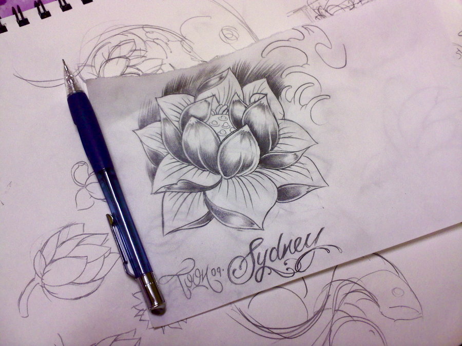 900x675 Water Lily Tattoo Sketch By Samthedrawer - Water Lily Sketch
