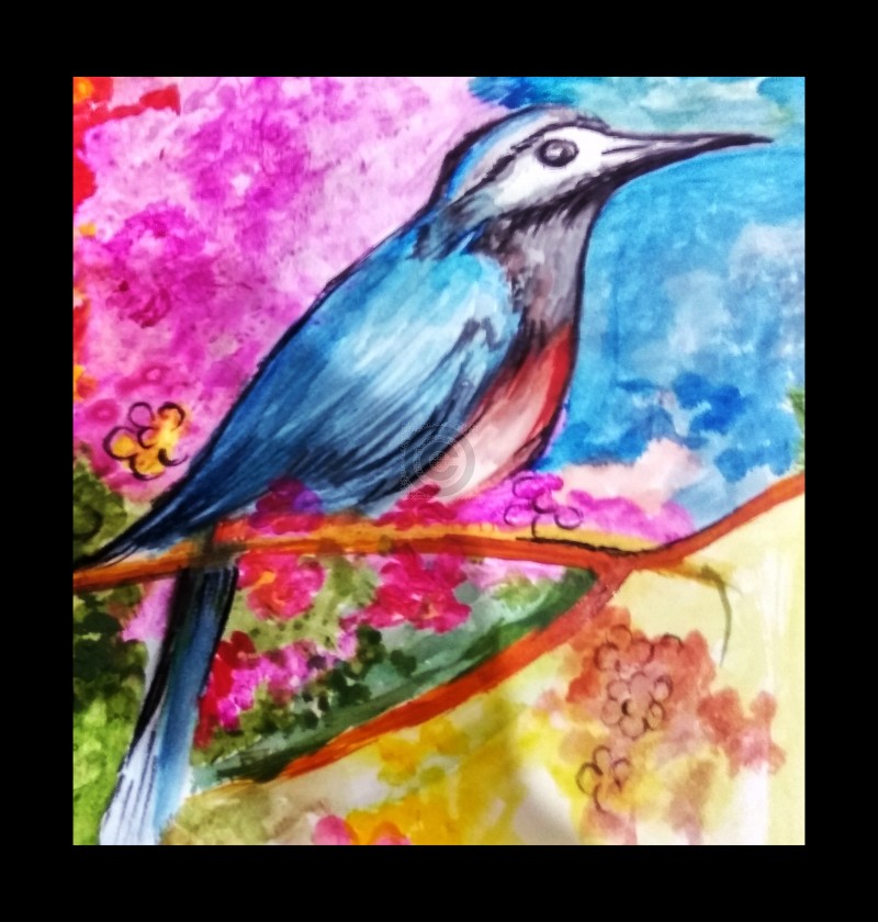800x840 Colour Bird Handmade Water Colour Painting Sketch Artoreal - Water Paint Sketch
