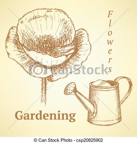 450x470 Sketch Poppy And Watering Can, Vector Background. Sketch Poppy And - Watering Can Sketch