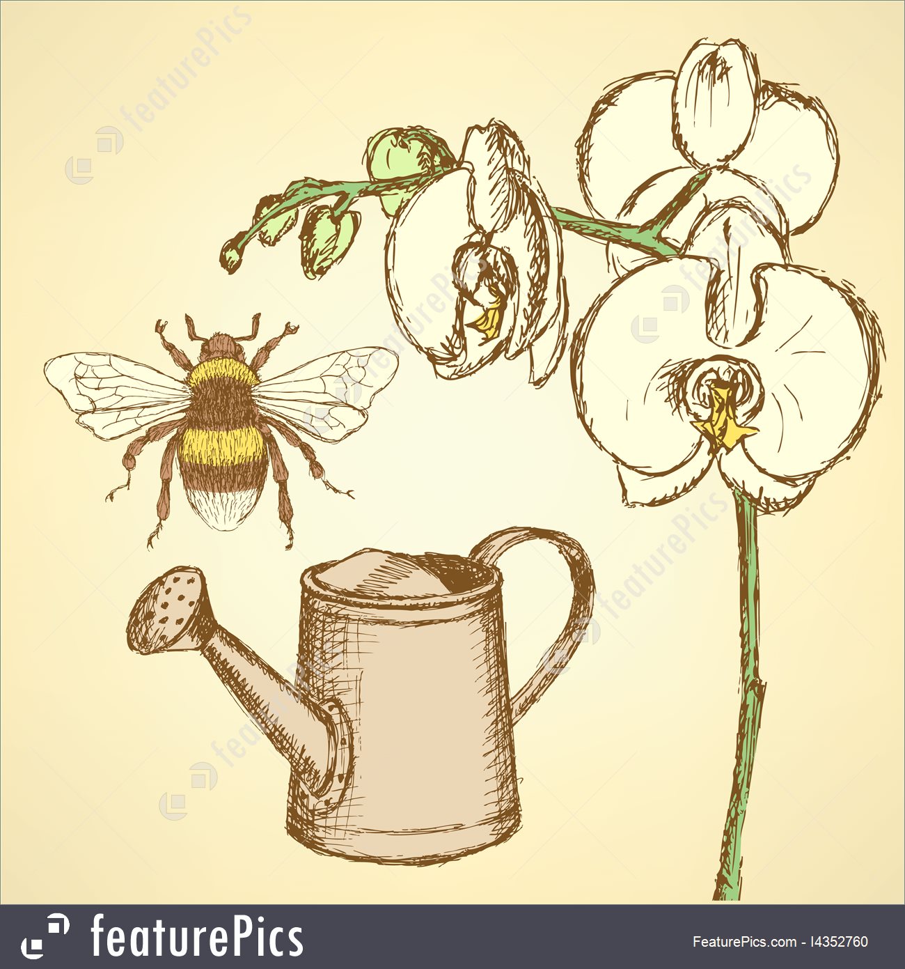 1300x1391 Tools Amp Supplies Sketch Orchid, Bee And Watering Can - Watering Can Sketch
