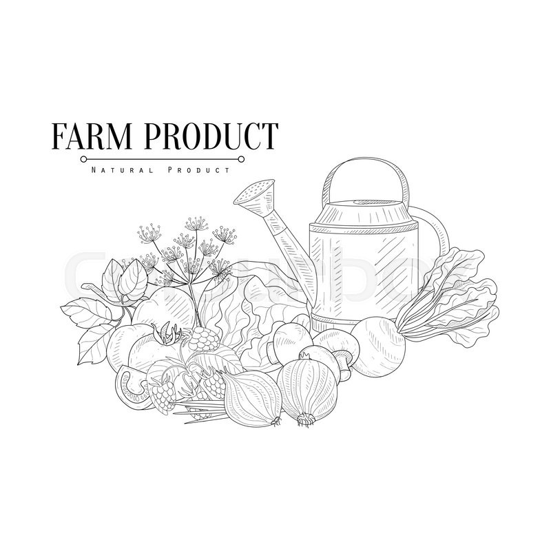 800x800 Fresh Farm Food And Watering Can Hand Drawn Realistic Detailed - Watering Can Sketch