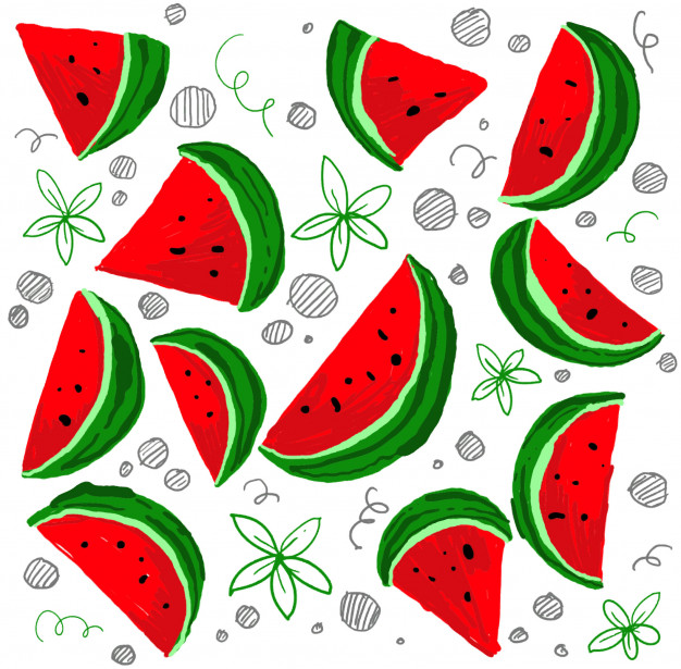 626x615 Watermelon Pattern Sketch Vector Premium Download - Watermelon Sketch