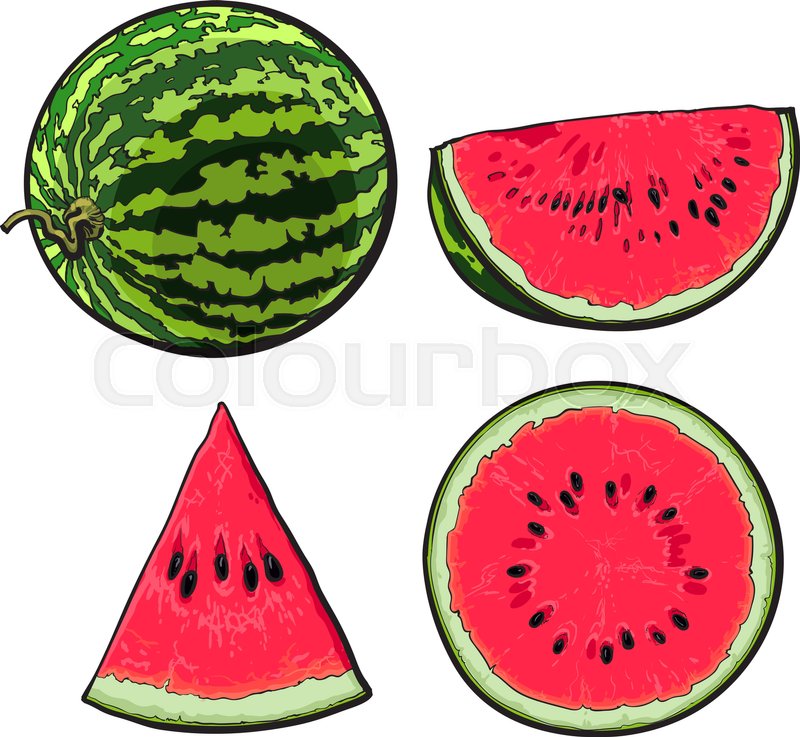 800x737 Whole, Half, Quarter And Slice Of Ripe Watermelon, Sketch Style - Watermelon Sketch