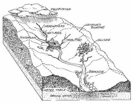 450x349 Watersheds A Watershed Is The Area Of Land From Which Runoff - Watershed Sketch
