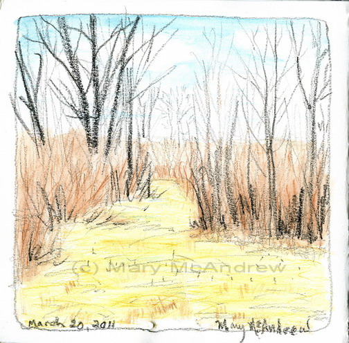 504x496 Wax Crayon Mary Mcandrew - Wax Sketch