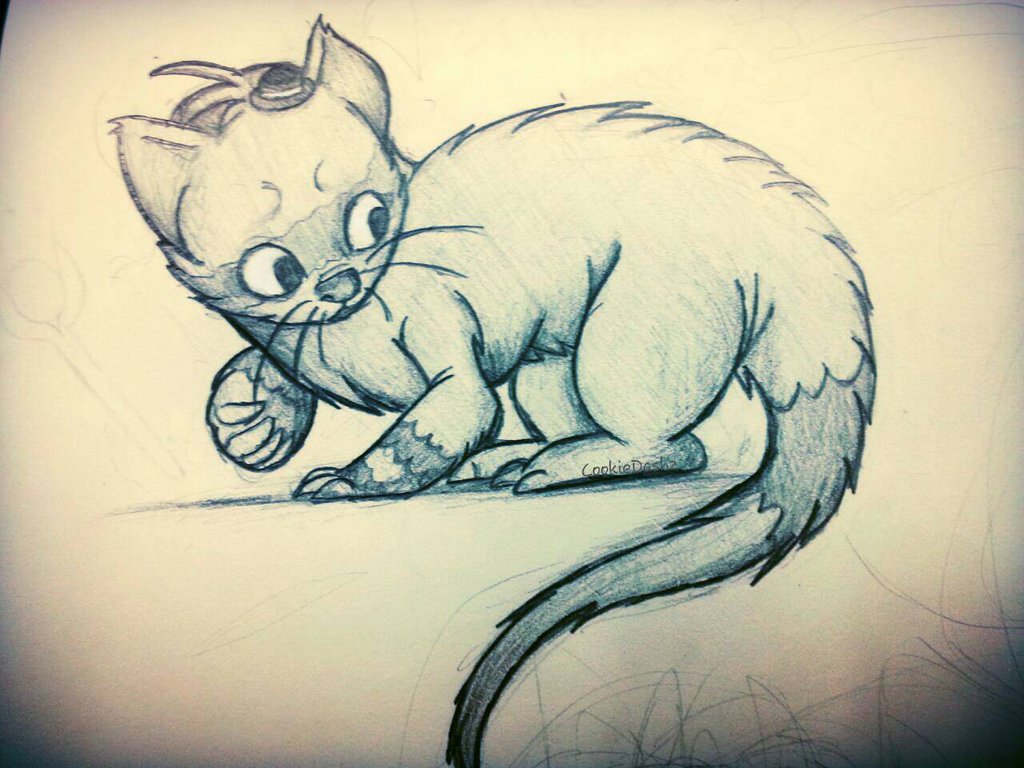 1024x768 Little Weasel Sketch By Cookiedashz - Weasel Sketch
