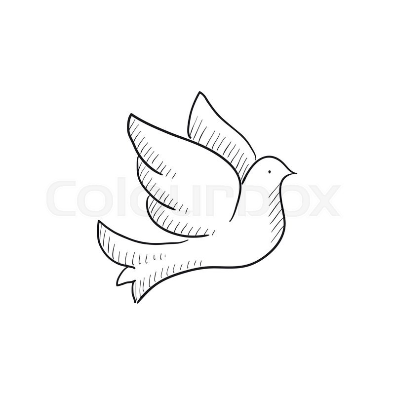 800x800 Wedding Dove Vector Sketch Icon Isolated On Background. Hand Drawn - Wedding Sketch Images