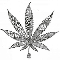240x240 Marijuana Doodle Leaf - Weed Leaf Sketch